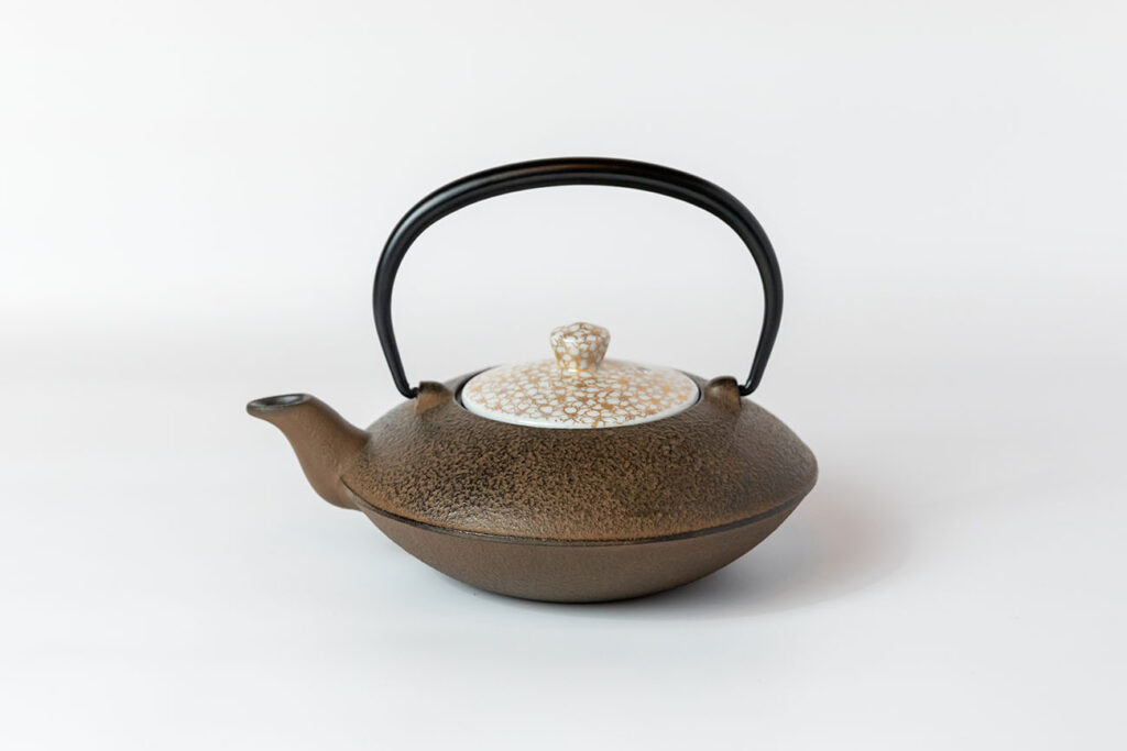 Cast Iron Teapot ②